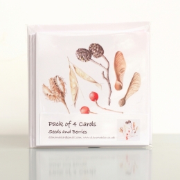 Seeds-and-berries-pack-of-4-cards