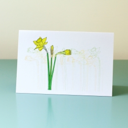 Daffodils-2