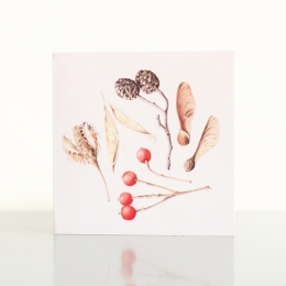 single-seeds-and-berries-card