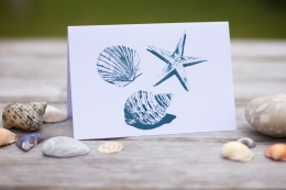 Stackpole shells cards